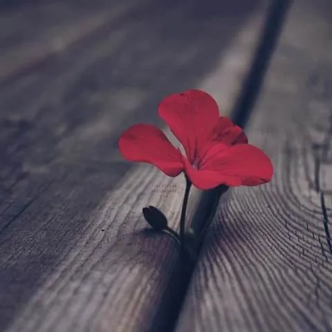دانلود آهنگ تو عشق منی یا خدای من روح انگیز